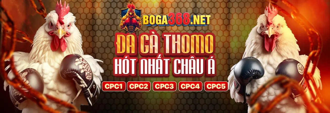 Cam kết của rw88 chính thức về cá cược có trách nhiệm