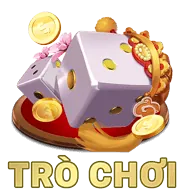 Đối tác C phát triển